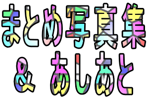 �܂Ƃߎʐ^�W �� ��������